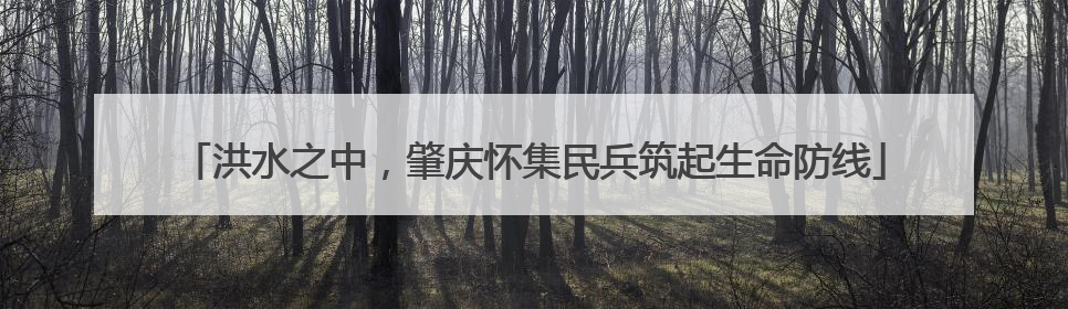 洪水之中，肇庆怀集民兵筑起生命防线