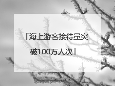 海上游客接待量突破100万人次