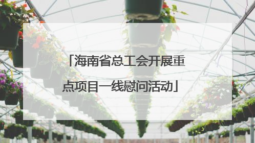 海南省总工会开展重点项目一线慰问活动