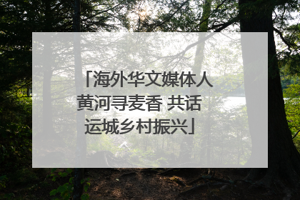 海外华文媒体人黄河寻麦香 共话运城乡村振兴