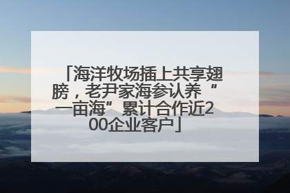 海洋牧场插上共享翅膀，老尹家海参认养“一亩海”累计合作近200企业客户