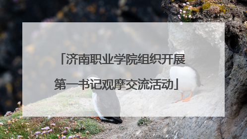 济南职业学院组织开展第一书记观摩交流活动