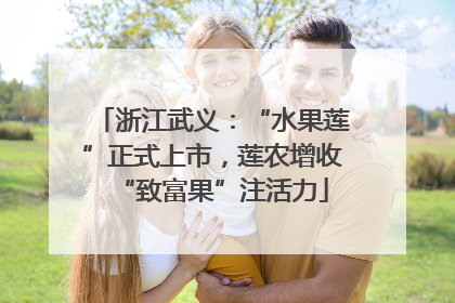 浙江武义：“水果莲”正式上市，莲农增收“致富果”注活力