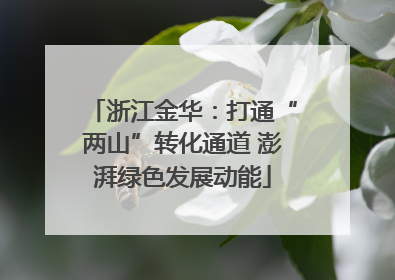 浙江金华：打通“两山”转化通道 澎湃绿色发展动能