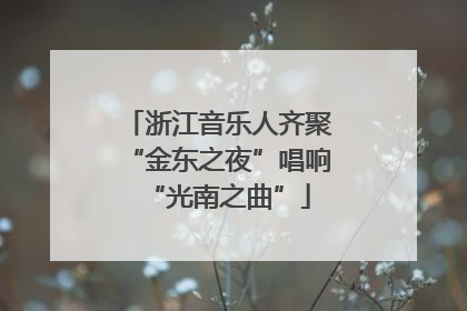 浙江音乐人齐聚“金东之夜”唱响“光南之曲”