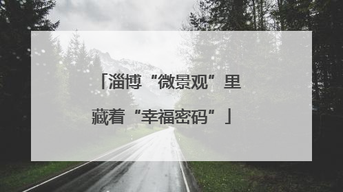 淄博“微景观”里藏着“幸福密码”