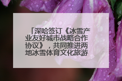 深哈签订《冰雪产业友好城市战略合作协议》，共同推进两地冰雪体育文化旅游高质量发展