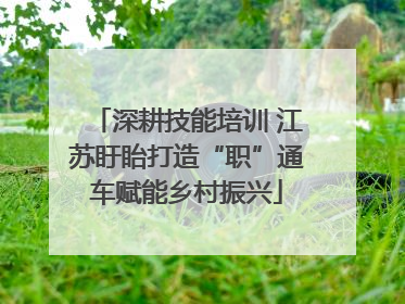 深耕技能培训 江苏盱眙打造“职”通车赋能乡村振兴