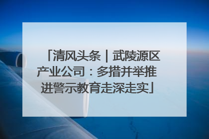 清风头条｜武陵源区产业公司：多措并举推进警示教育走深走实