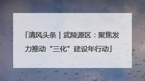 清风头条｜武陵源区：聚焦发力推动“三化”建设年行动