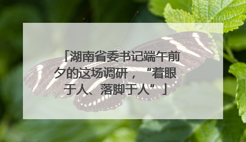 湖南省委书记端午前夕的这场调研，“着眼于人、落脚于人”