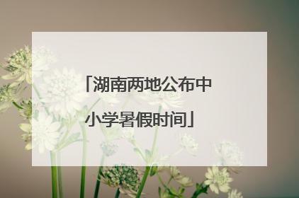 湖南两地公布中小学暑假时间