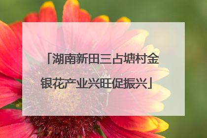 湖南新田三占塘村金银花产业兴旺促振兴