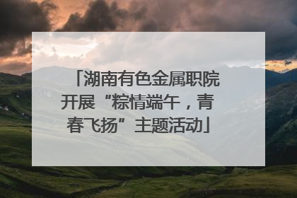湖南有色金属职院开展“粽情端午，青春飞扬”主题活动