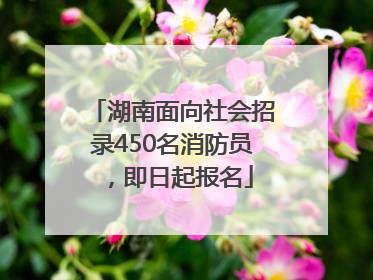 湖南面向社会招录450名消防员，即日起报名