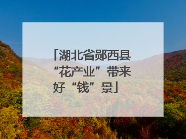 湖北省郧西县“花产业”带来好“钱”景