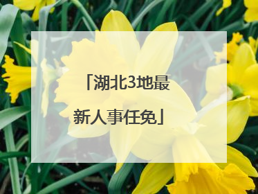 湖北3地最新人事任免