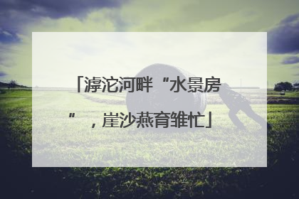 滹沱河畔“水景房”，崖沙燕育雏忙