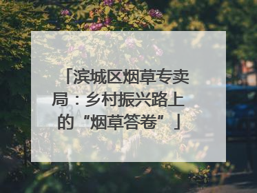 滨城区烟草专卖局：乡村振兴路上的“烟草答卷”