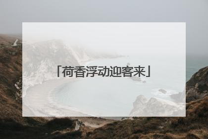 荷香浮动迎客来