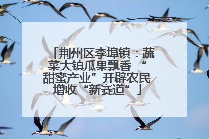 荆州区李埠镇：蔬菜大镇瓜果飘香 “甜蜜产业”开辟农民增收“新赛道”