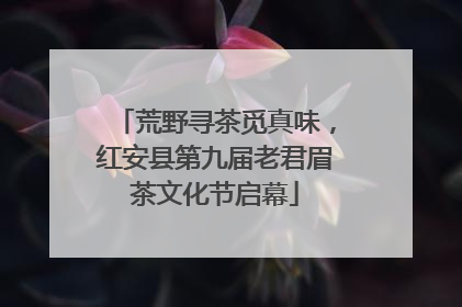 荒野寻茶觅真味，红安县第九届老君眉茶文化节启幕