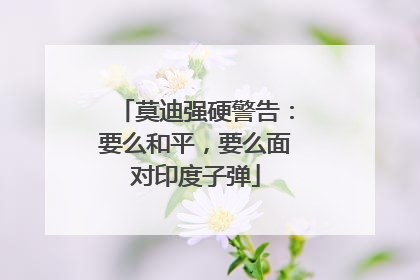 莫迪强硬警告：要么和平，要么面对印度子弹