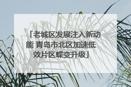 老城区发展注入新动能 青岛市北区加速低效片区蝶变升级