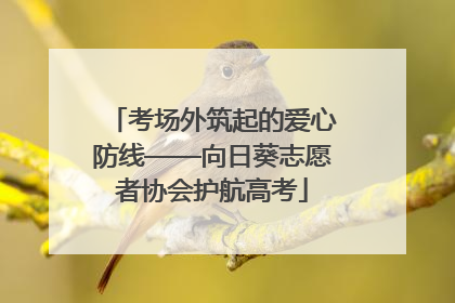 考场外筑起的爱心防线——向日葵志愿者协会护航高考