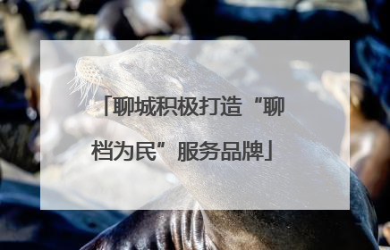 聊城积极打造“聊档为民”服务品牌