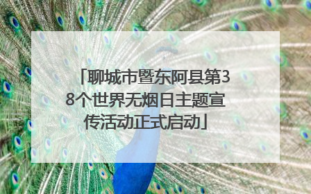 聊城市暨东阿县第38个世界无烟日主题宣传活动正式启动