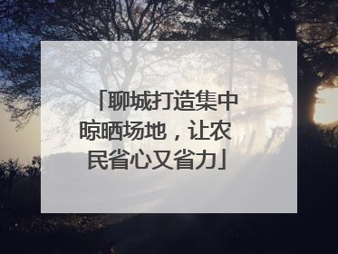 聊城打造集中晾晒场地，让农民省心又省力