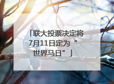 联大投票决定将7月11日定为“世界马日”