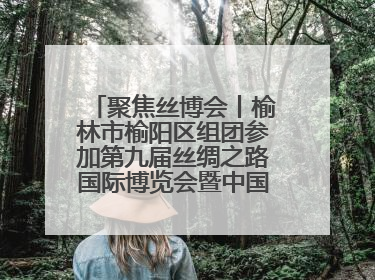 聚焦丝博会丨榆林市榆阳区组团参加第九届丝绸之路国际博览会暨中国东西部合作与投资贸易洽谈会