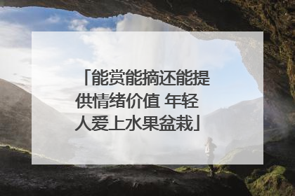 能赏能摘还能提供情绪价值 年轻人爱上水果盆栽