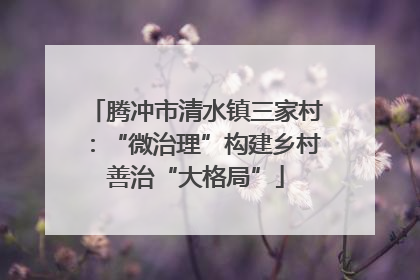 腾冲市清水镇三家村：“微治理”构建乡村善治“大格局”