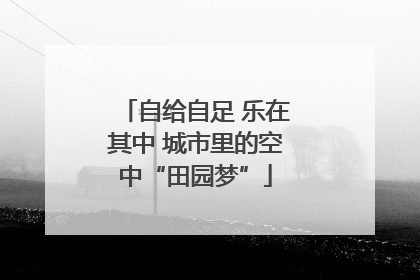 自给自足 乐在其中 城市里的空中“田园梦”