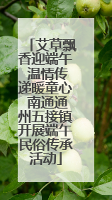 艾草飘香迎端午 温情传递暖童心 南通通州五接镇开展端午民俗传承活动