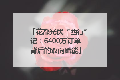 花都光伏“西行”记：6400万订单背后的双向赋能
