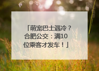 萌宠巴士遇冷？合肥公交：满10位乘客才发车！