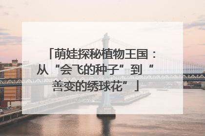 萌娃探秘植物王国：从“会飞的种子”到“善变的绣球花”