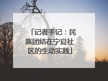 记者手记：民族团结在宁夏社区的生动实践