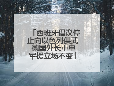 西班牙倡议停止向以色列供武 德国外长重申军援立场不变