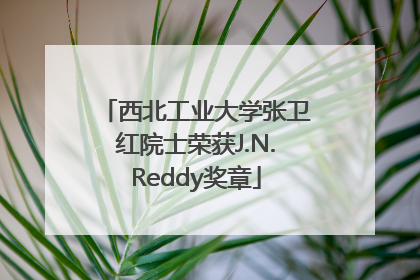 西北工业大学张卫红院士荣获J.N.Reddy奖章
