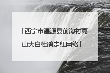 西宁市湟源县前沟村高山大白杜鹃走红网络