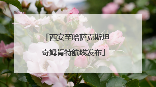 西安至哈萨克斯坦奇姆肯特航线发布