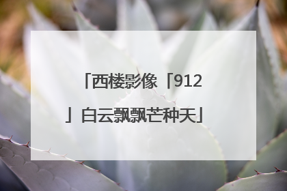 西楼影像「912」白云飘飘芒种天