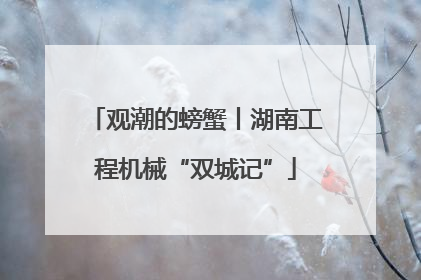 观潮的螃蟹丨湖南工程机械“双城记”