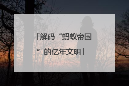 解码“蚂蚁帝国”的亿年文明