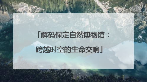 解码保定自然博物馆：跨越时空的生命交响